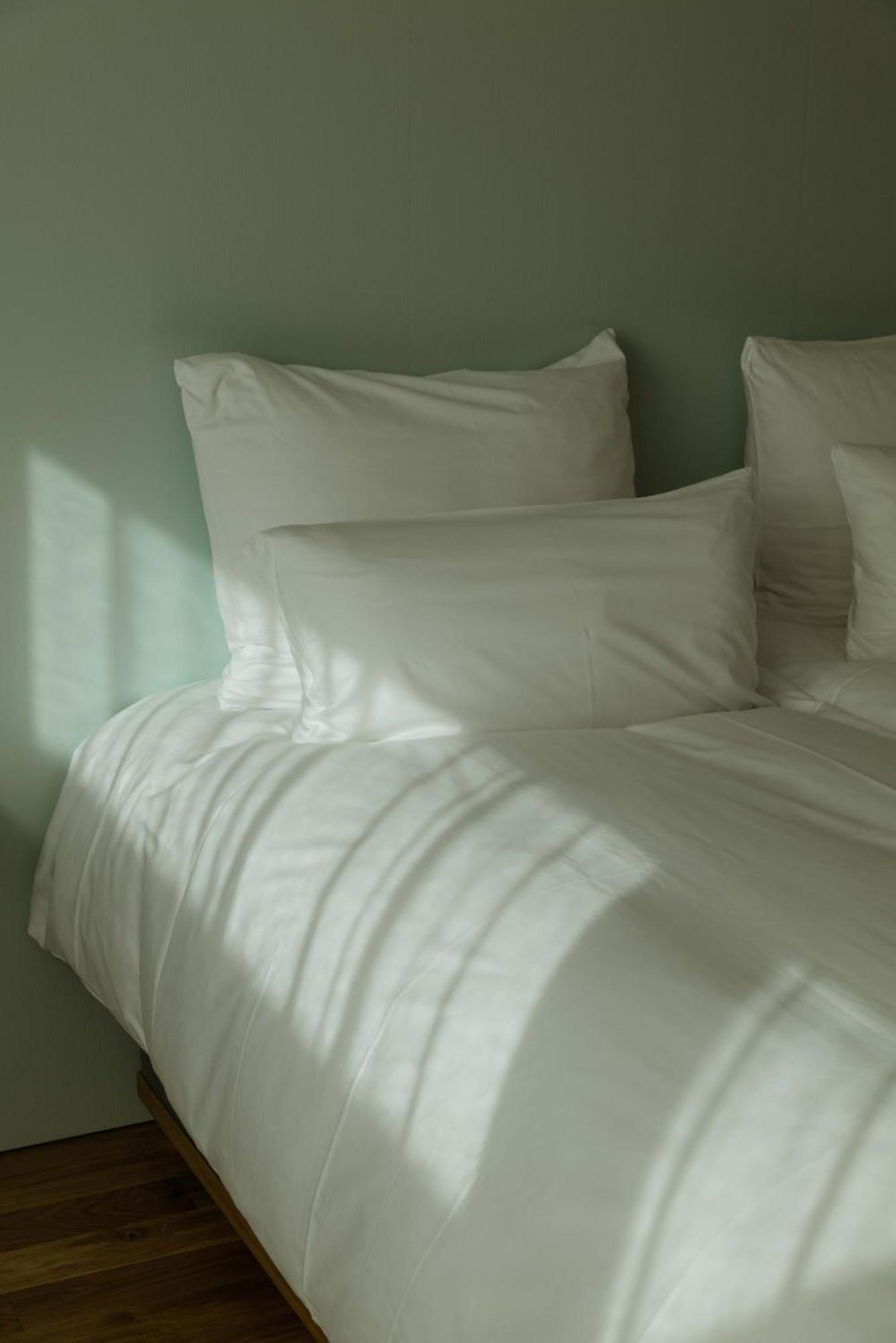 Kleiner Loewe - Stadthotel Bregenzi járás Kültér fotó